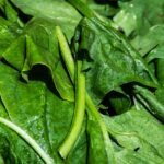 Creamy Spinach Lamb with Green Beans Low-Carb Recipe CarbWise low-carb healthy food