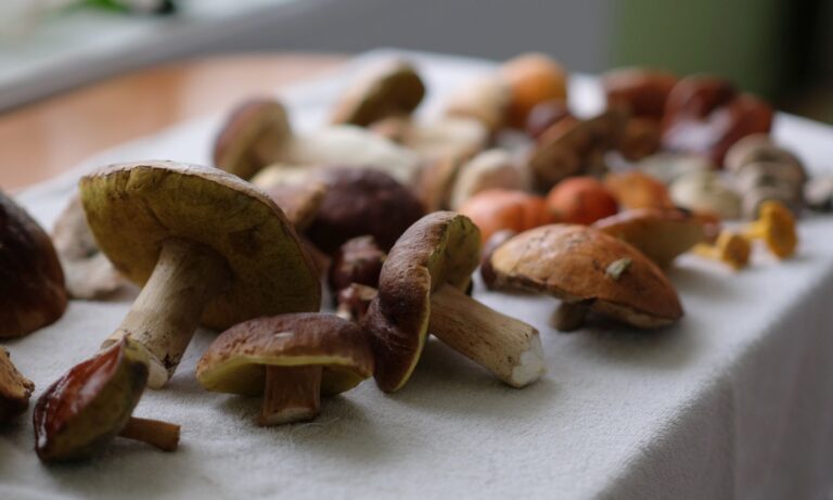 Cajun Lime Snacks with Mushrooms CarbWise low-carb healthy food