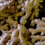 Ginger Sesame Turkey with Mushrooms Low-Carb Recipe CarbWise low-carb healthy food