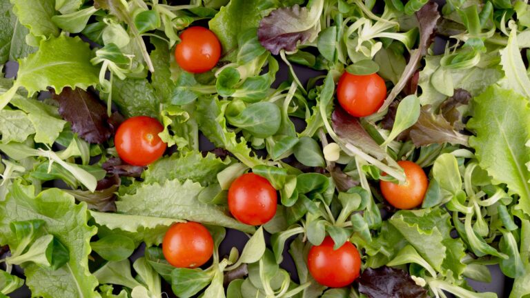 Healthy Eating Guide for Busy People CarbWise low-carb healthy food