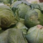 Greek Feta Pork with Cabbage Low-Carb Recipe CarbWise low-carb healthy food